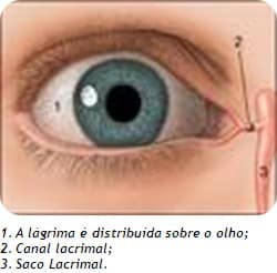 Olho seco